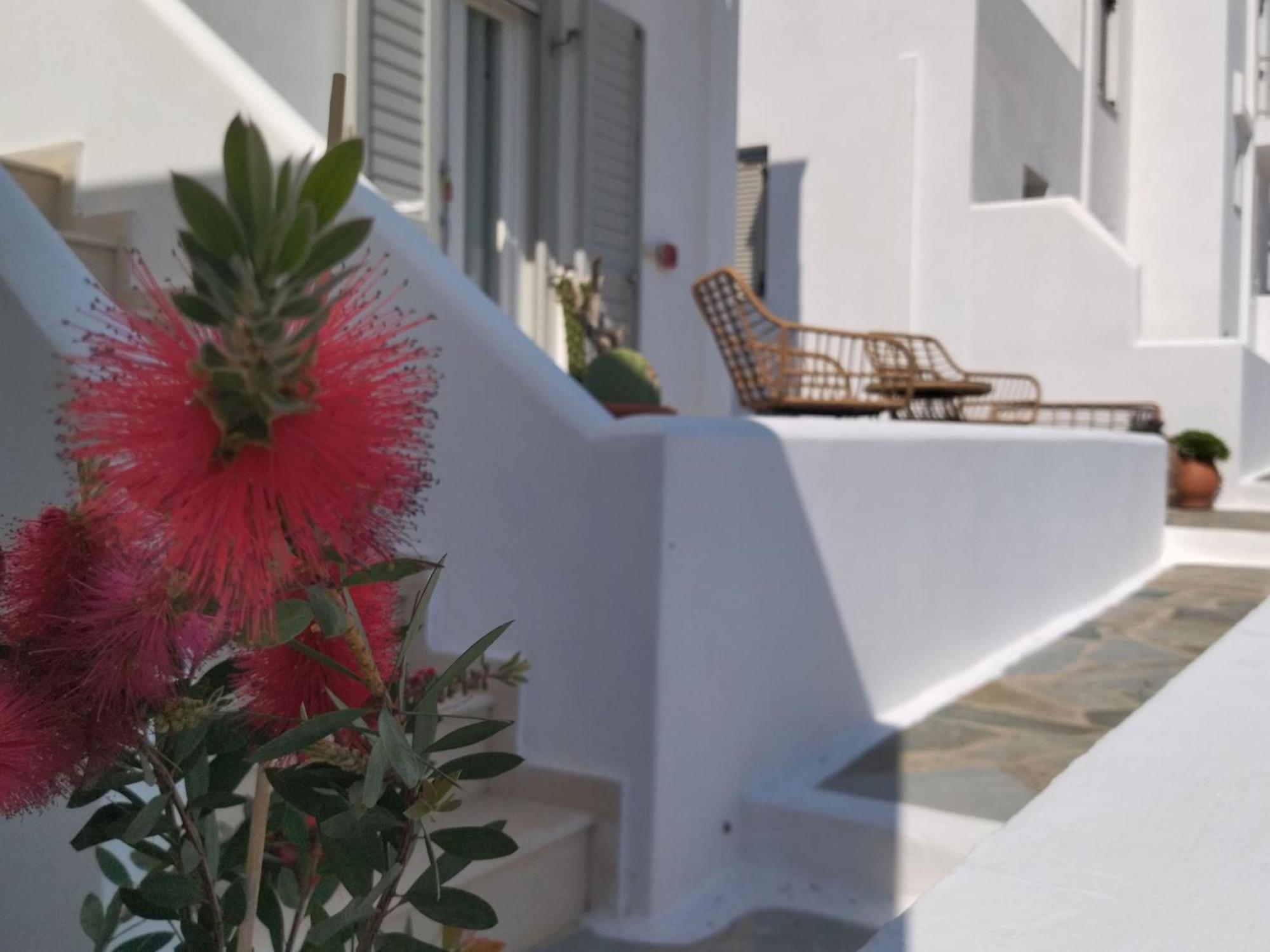 Gaia Serifos Apartments Rámos Pokój zdjęcie
